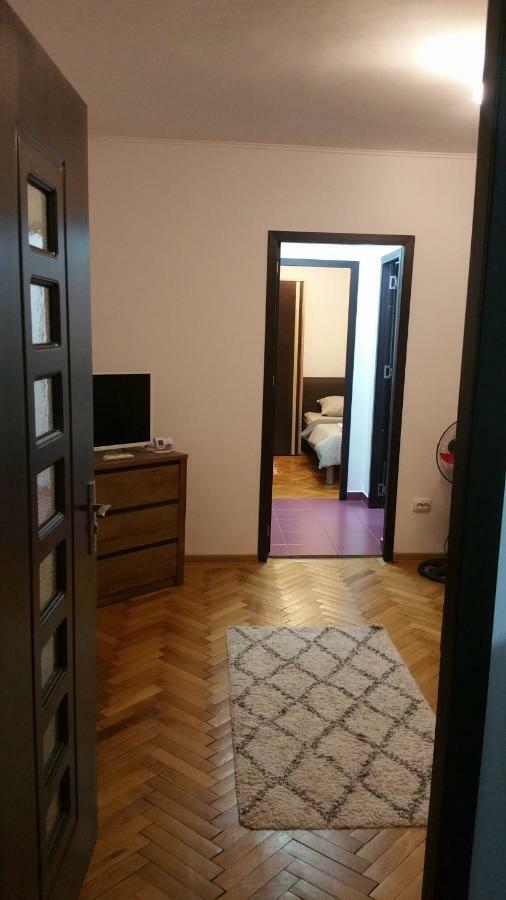 Apartament Lavinia Călimăneşti Bagian luar foto